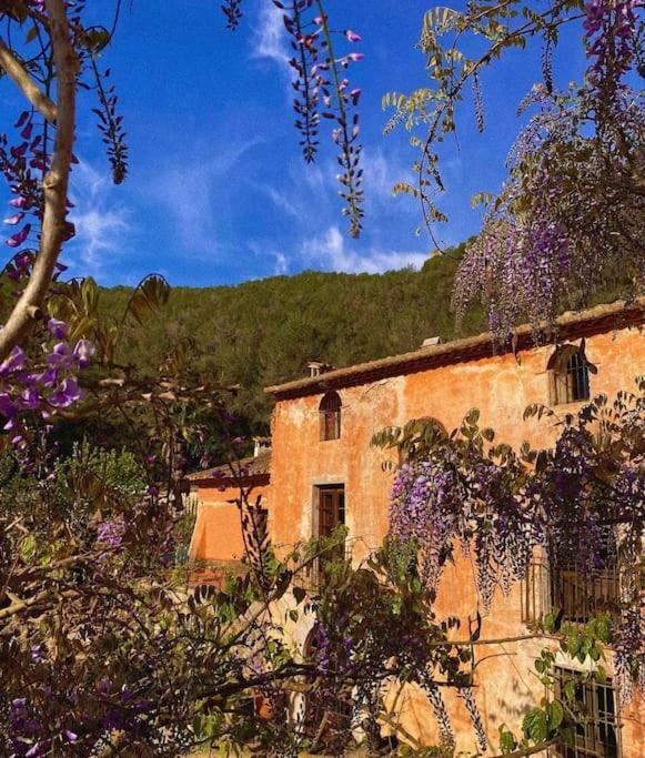 Villa Catalina Aka Villa Almanita Sant Pere De Ribes Exterior photo